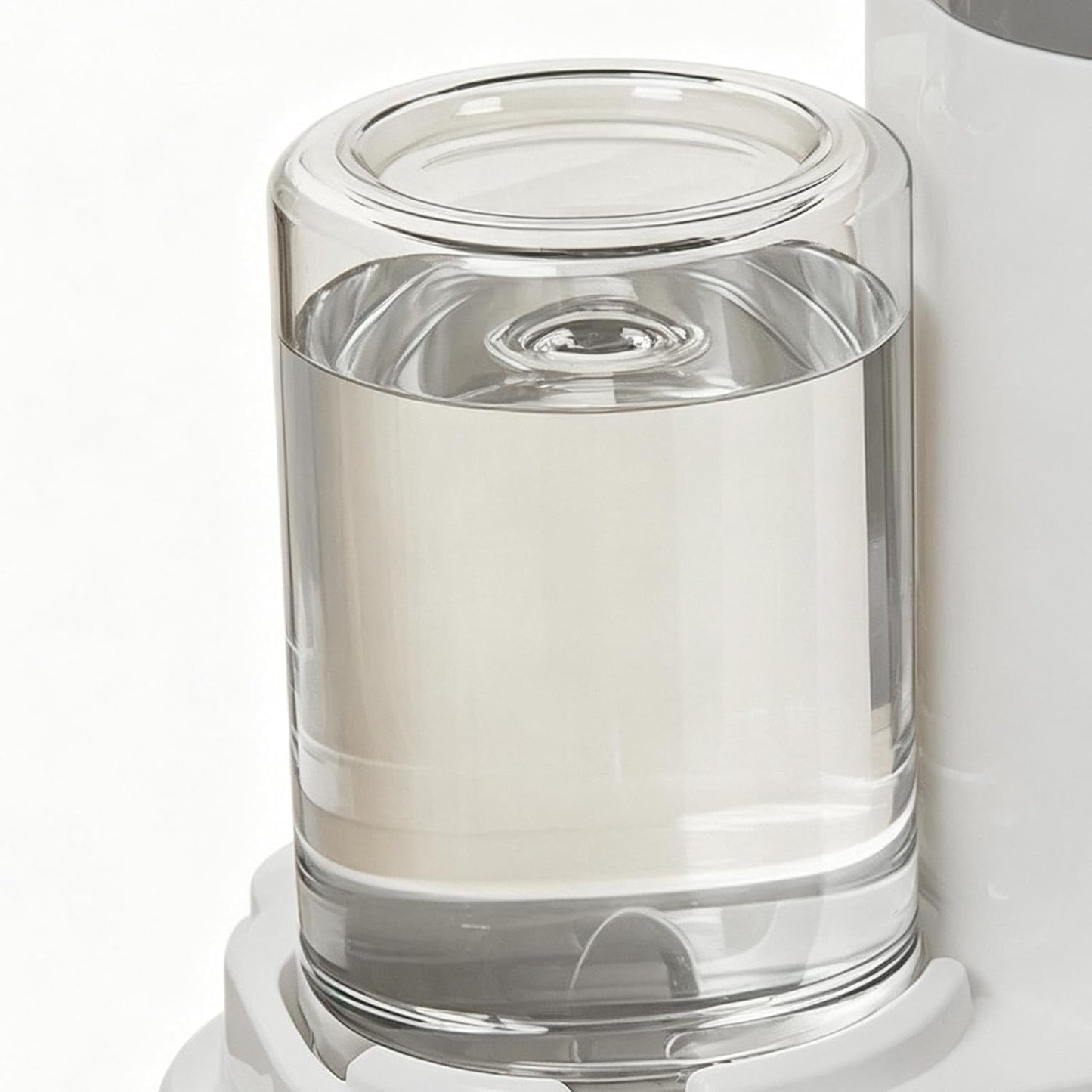 Eco-Friendly Pet Feeder System