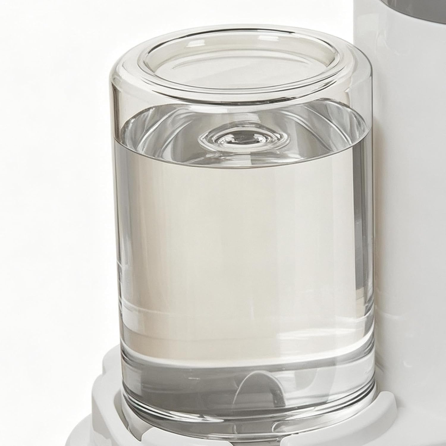 Eco-Friendly Pet Feeder System