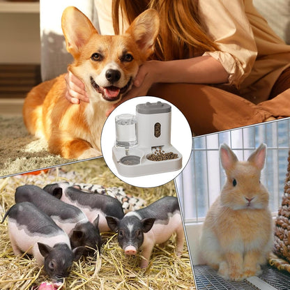 Eco-Friendly Pet Feeder System